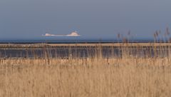 Blick über Vorland, Wattenmeer und Schifffahrtsstrasse von Sahlenburg aus.