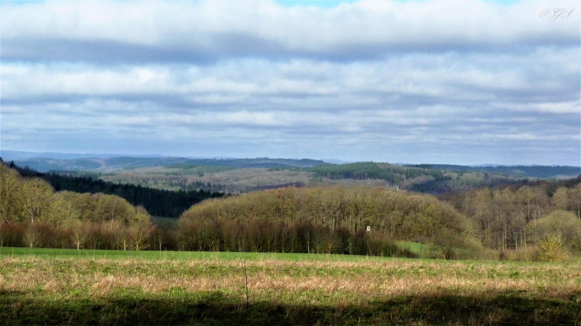 Blick über Wälder