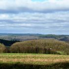 Blick über Wälder