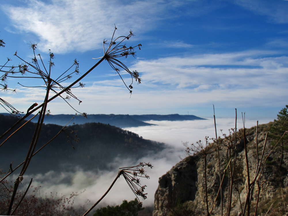 Blick über Wannental und Böllat