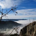 Blick über Wannental und Böllat