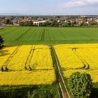 Blick über Weiterstadt-Braunshardt