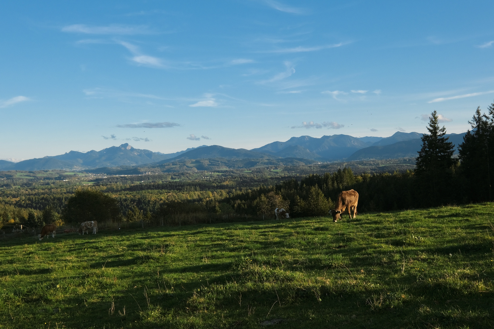 Blick über weites Land