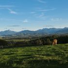 Blick über weites Land