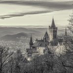 Blick über Wernigerode