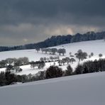 Blick über Wiesen hinweg