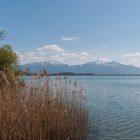 Blick übern Chiemsee (2)