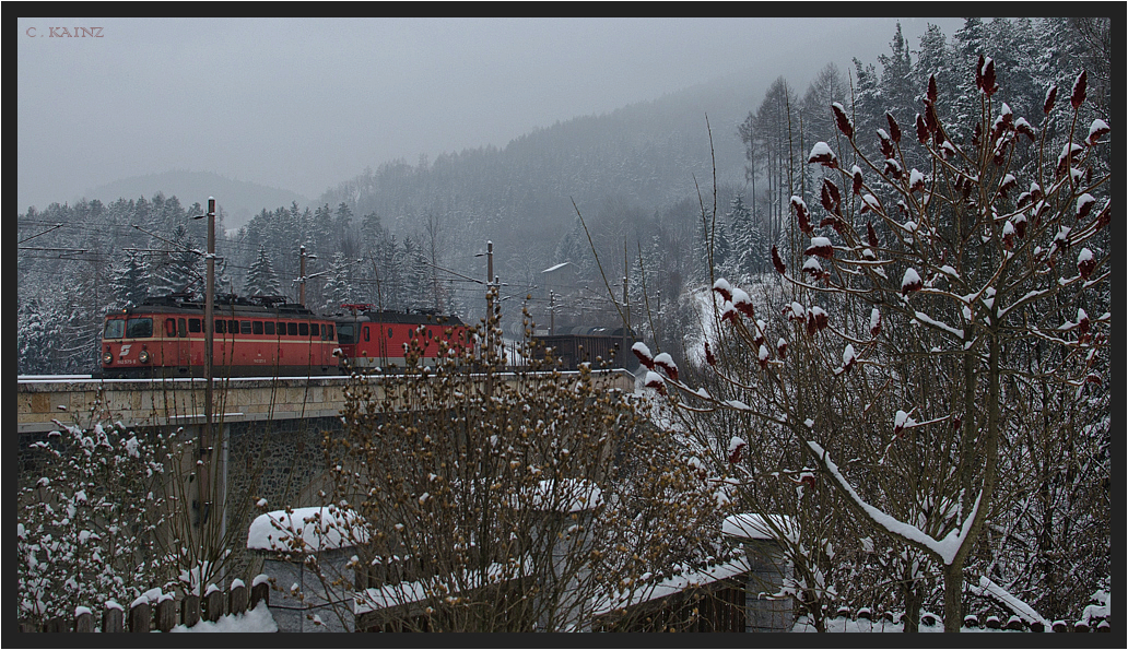 Blick übern Gartenzaun