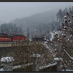 Blick übern Gartenzaun