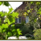 Blick übern Gartenzaun