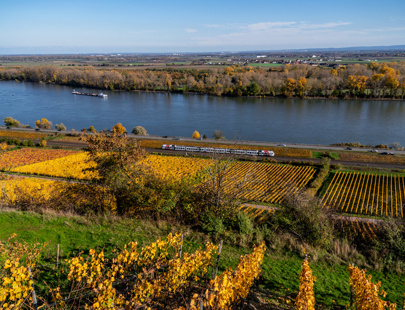 Blick übern Rhein