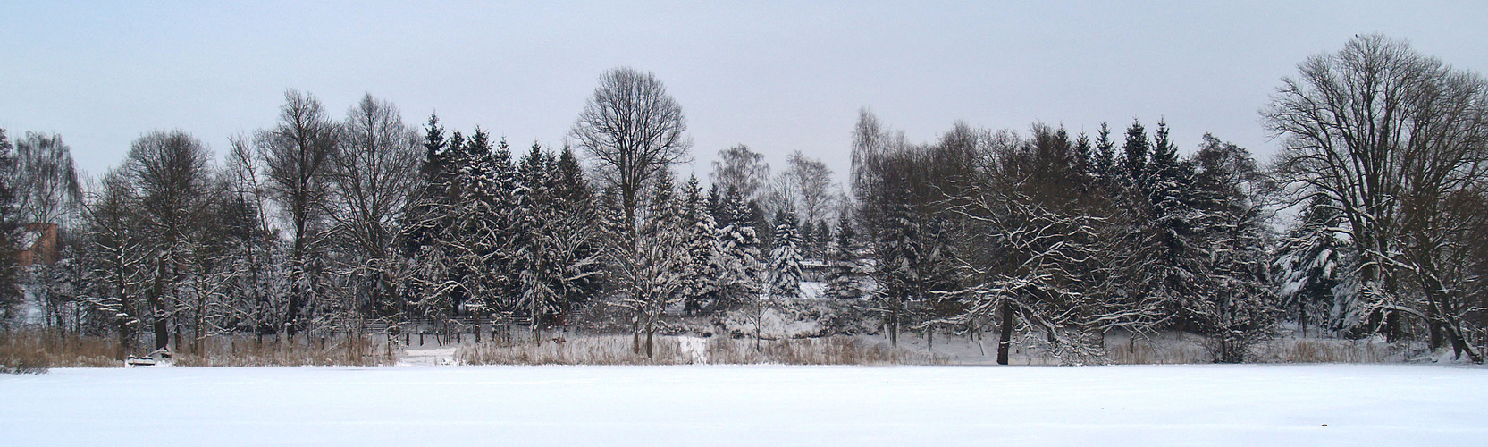 blick über´n teich