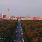 Blick übern Tiergarten