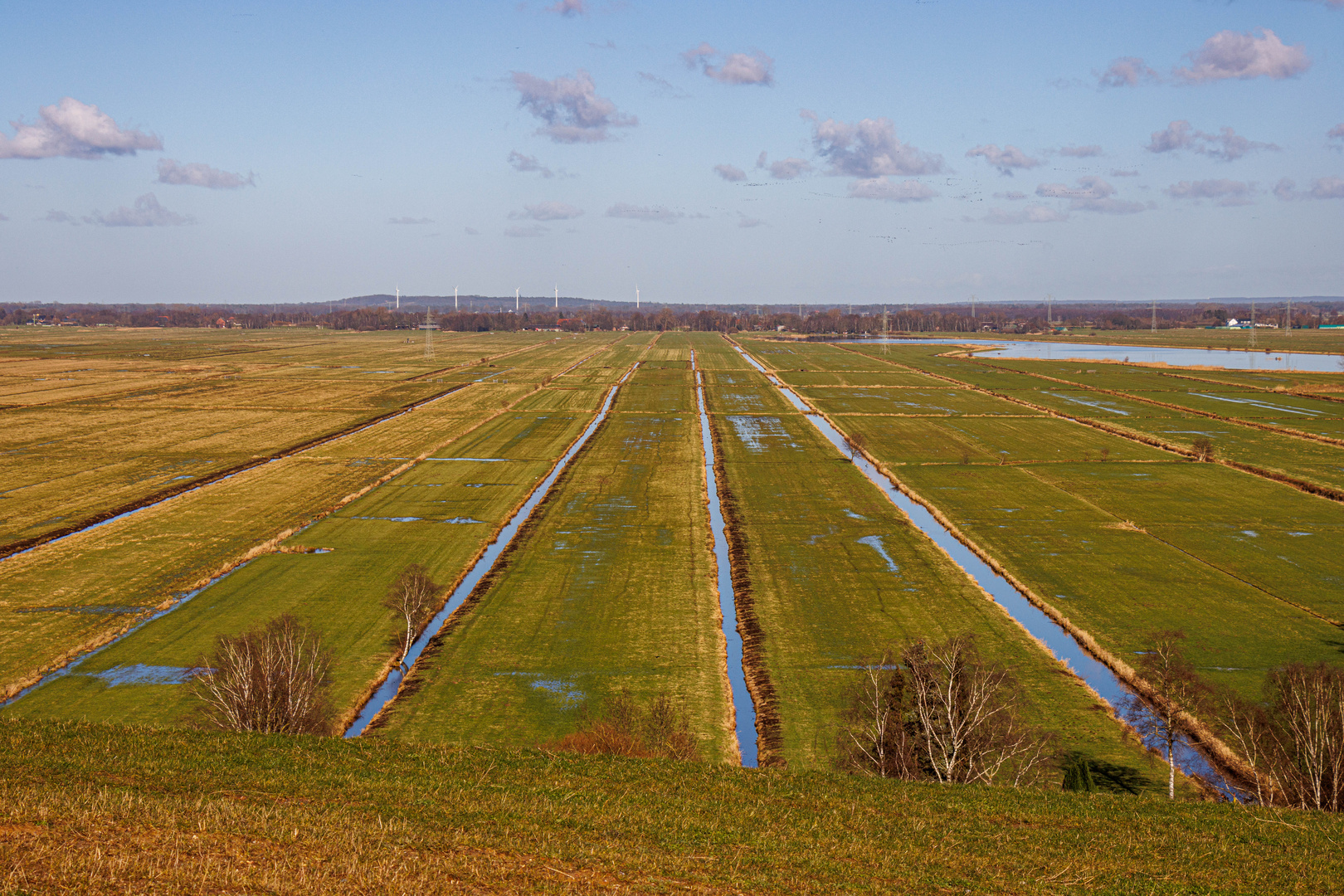 Blick übers Blockland zum Weyerberg 