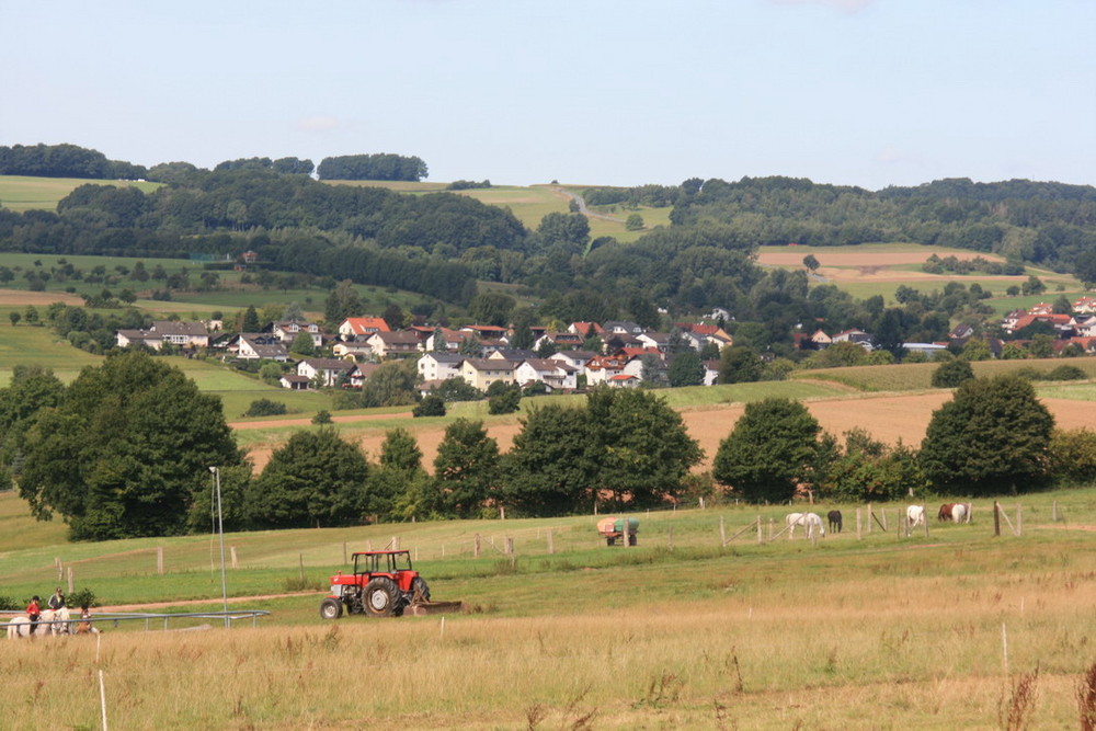 blick übers brombachtal