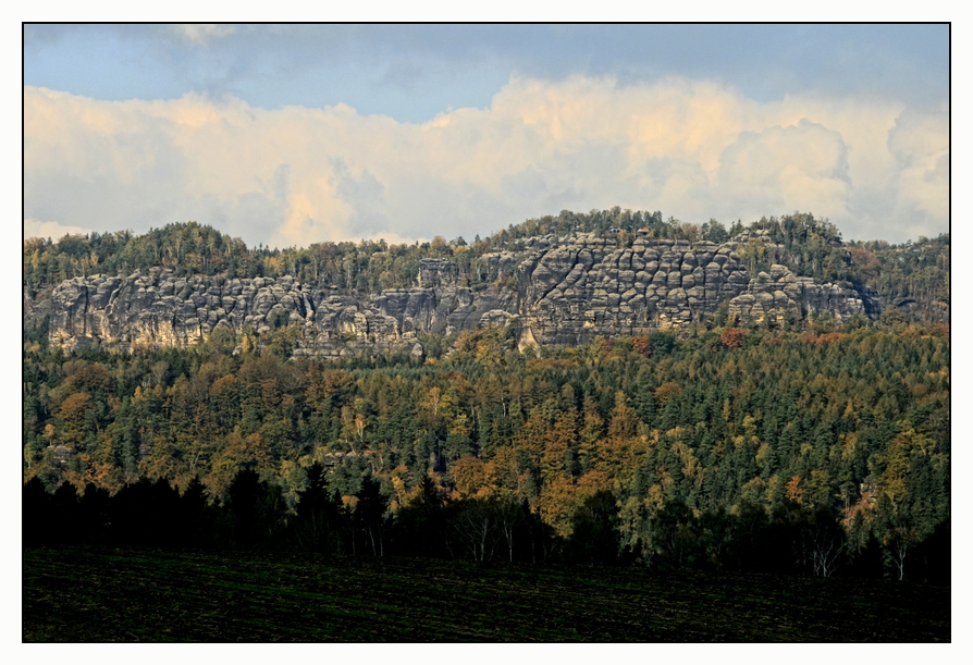 Blick über`s Elbtal....