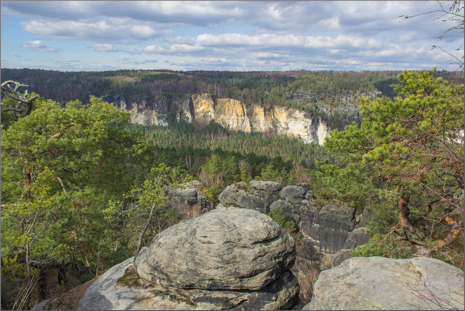 Blick übers Elbtal