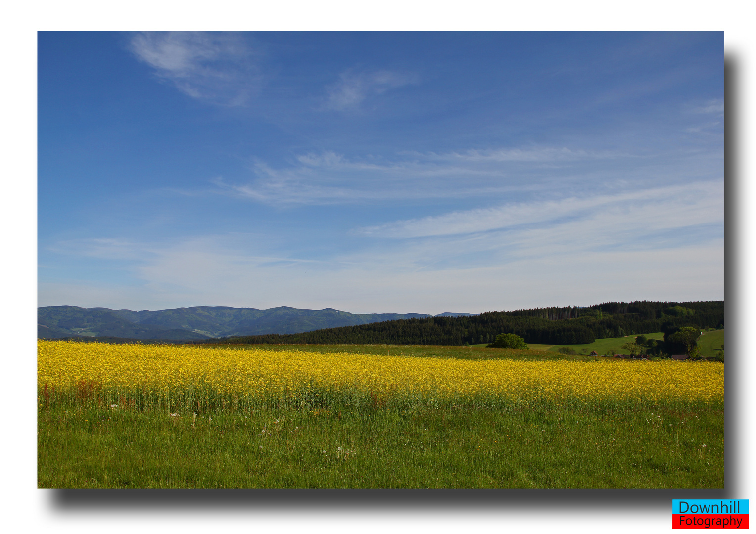 Blick übers Elztal zum Hochschwarzwald