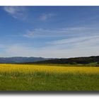 Blick übers Elztal zum Hochschwarzwald