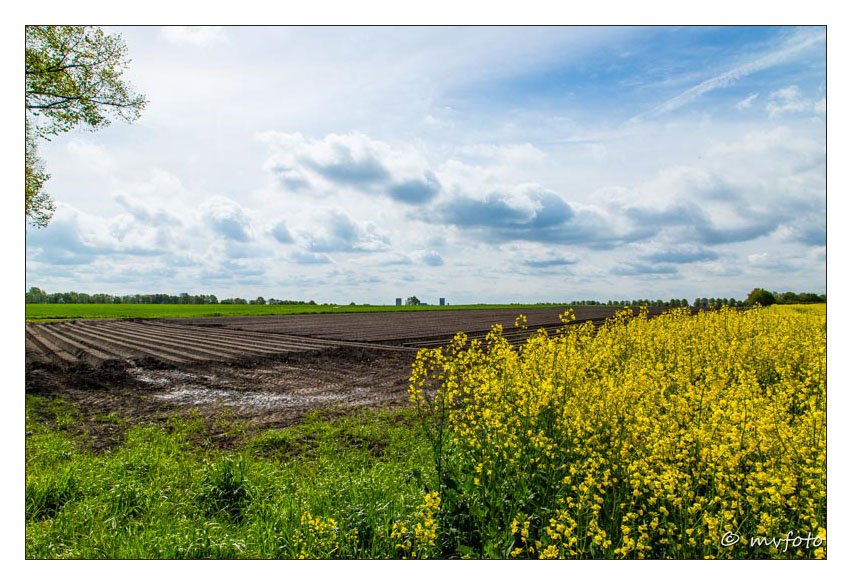 Blick über's Feld