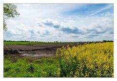 Blick über's Feld