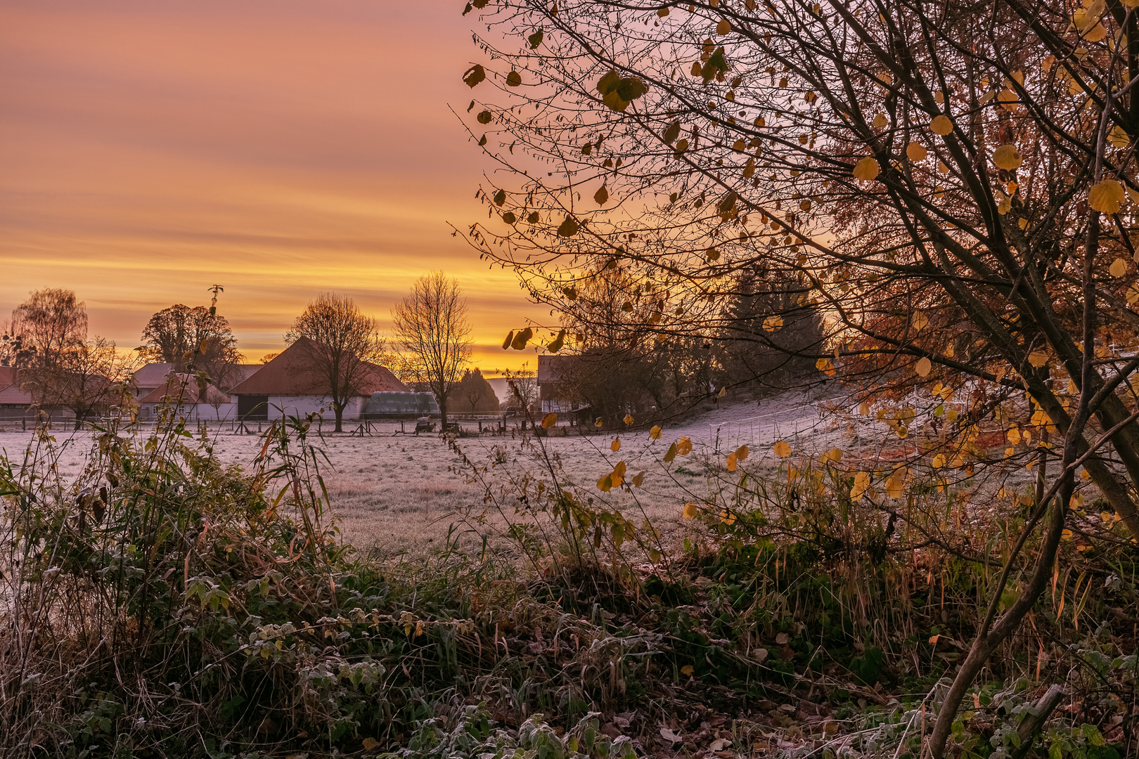 Blick übers Feld