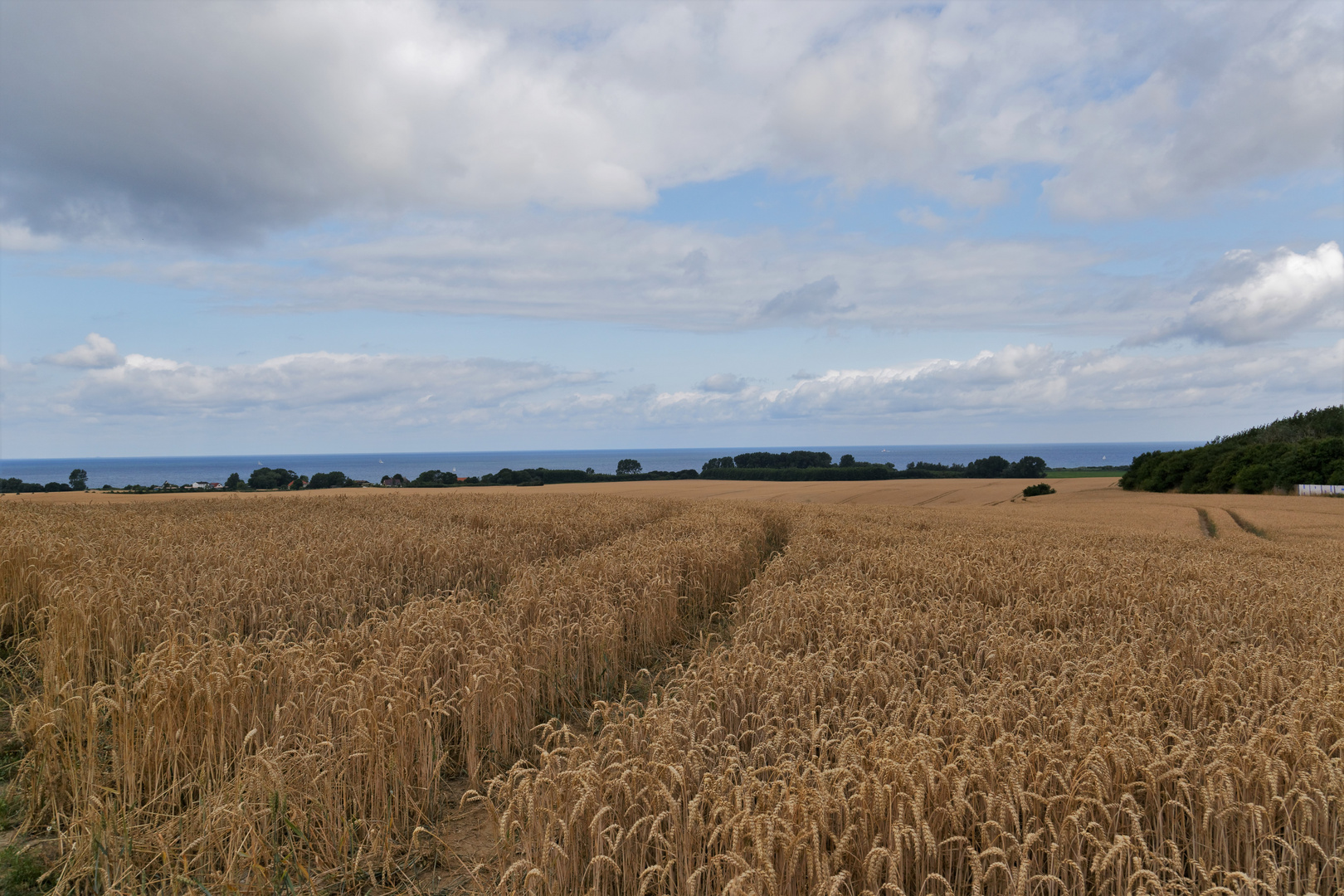 Blick übers Feld