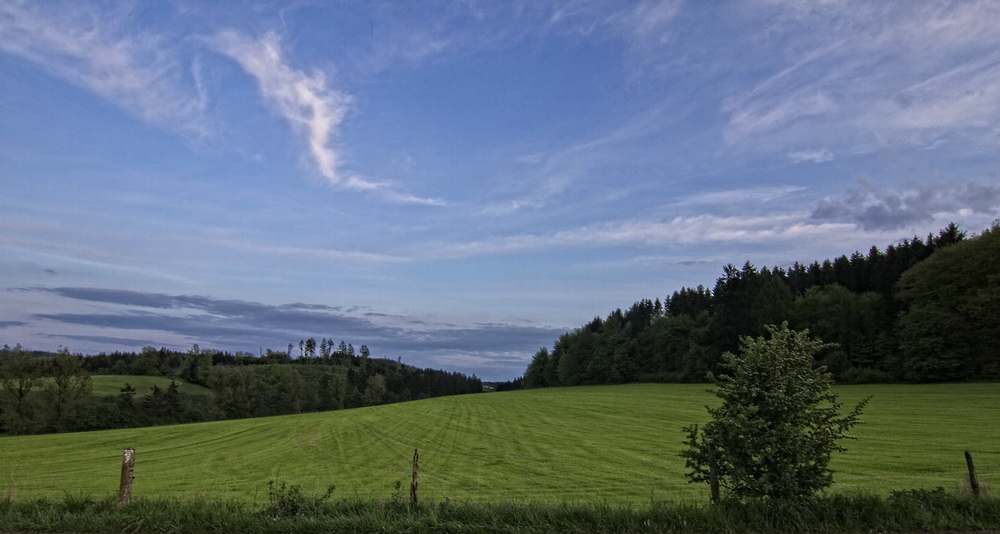 Blick übers Feld