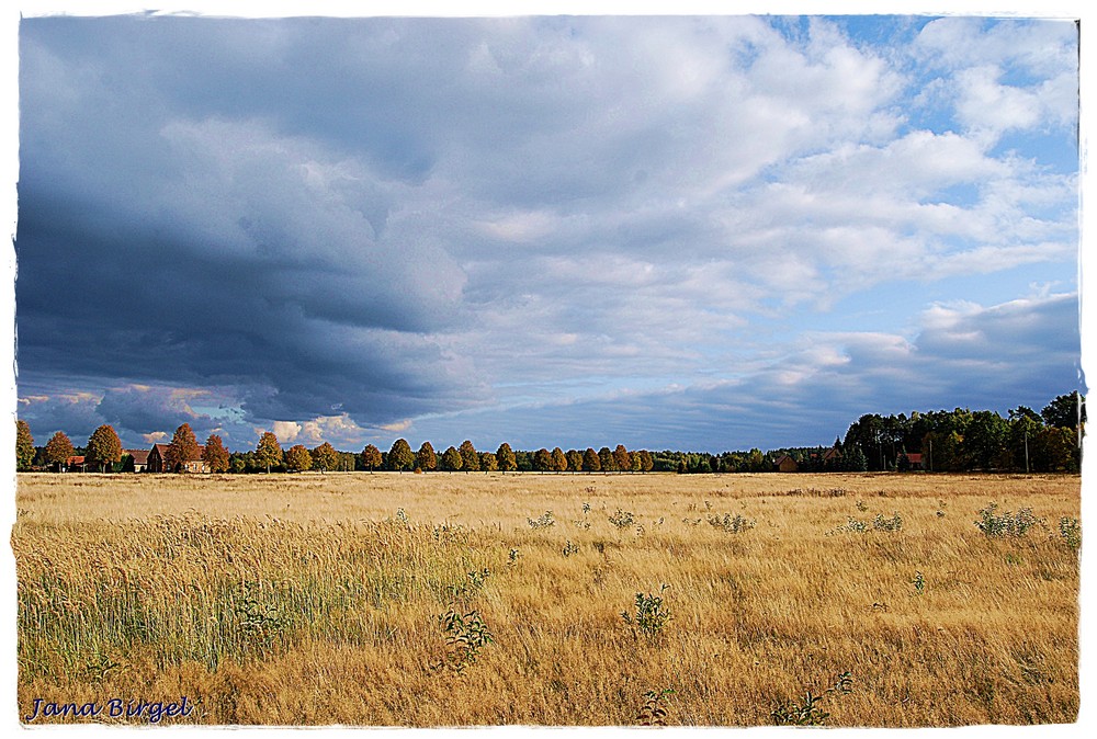 Blick übers Feld