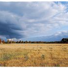 Blick übers Feld