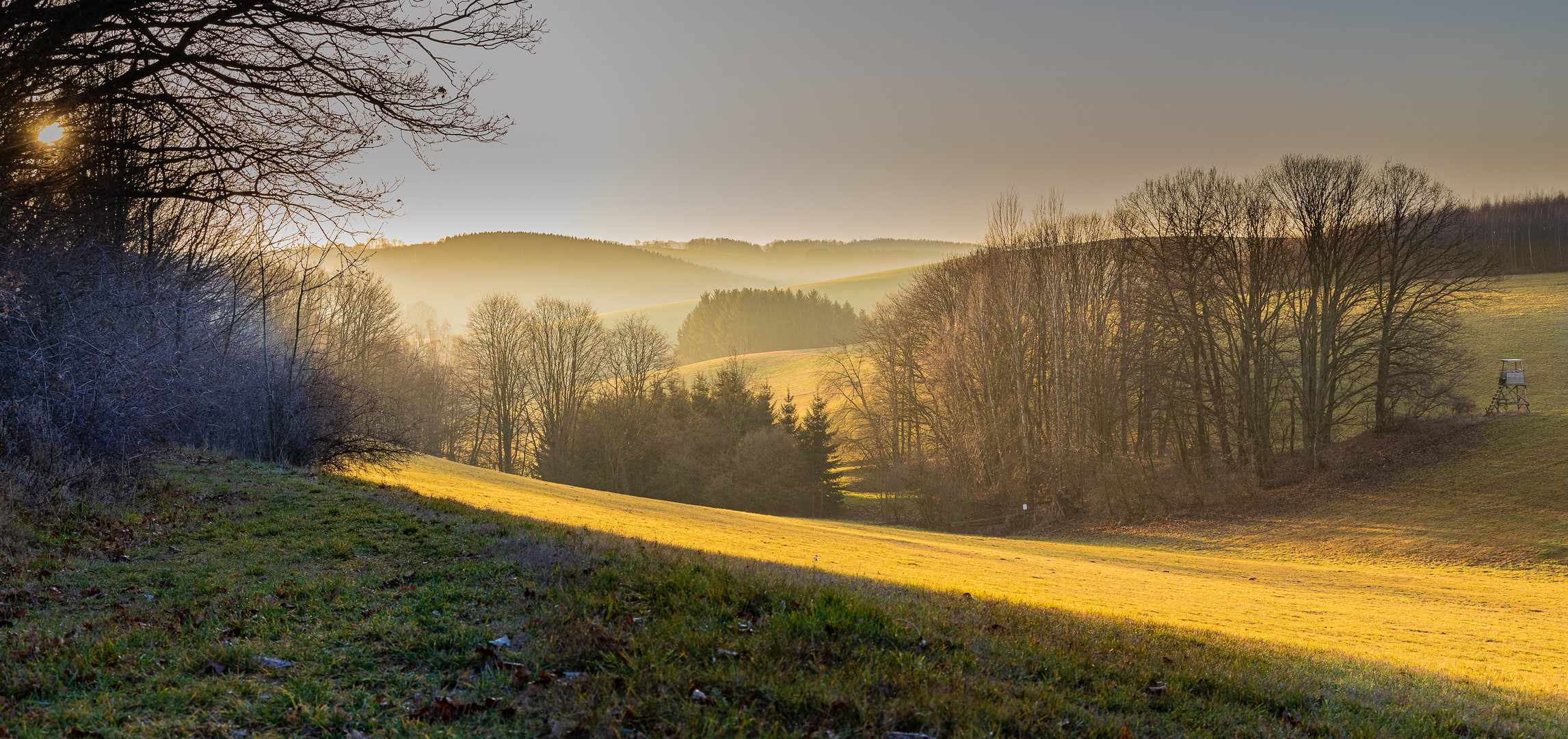 Blick übers Feld