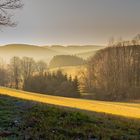 Blick übers Feld