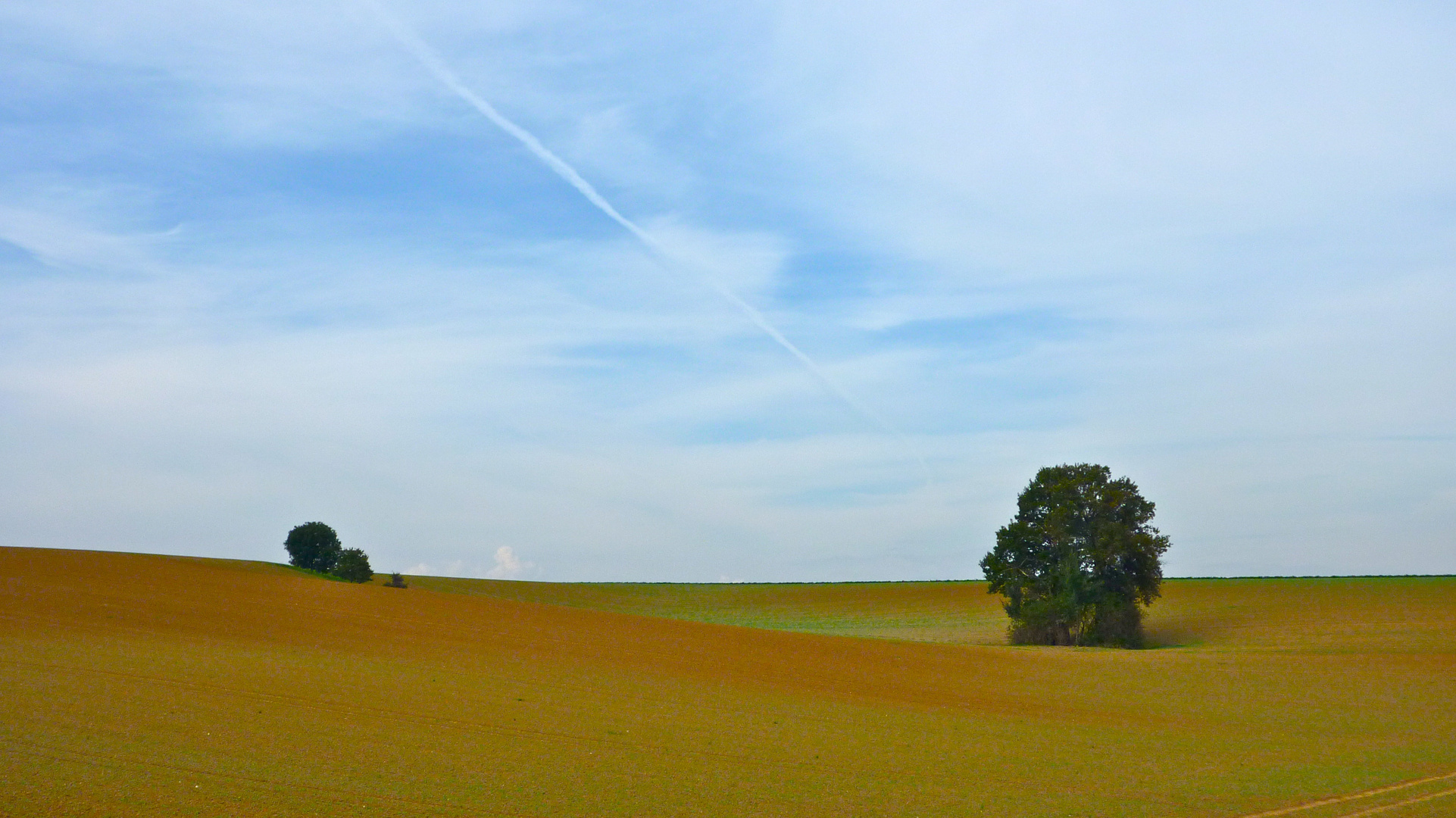 Blick über´s Feld