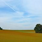 Blick über´s Feld