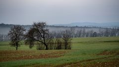 Blick übers Feld I.