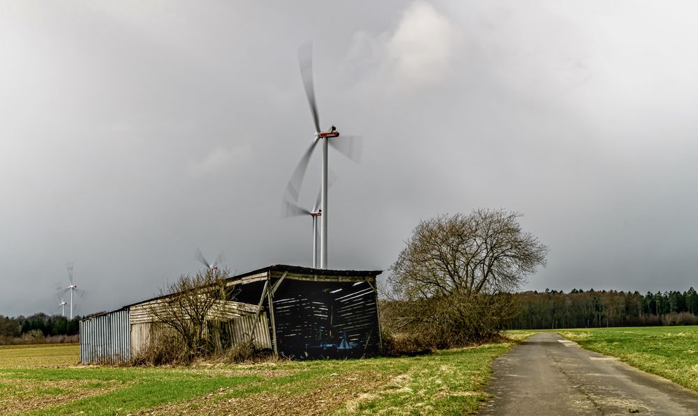 Blick übers Feld III.