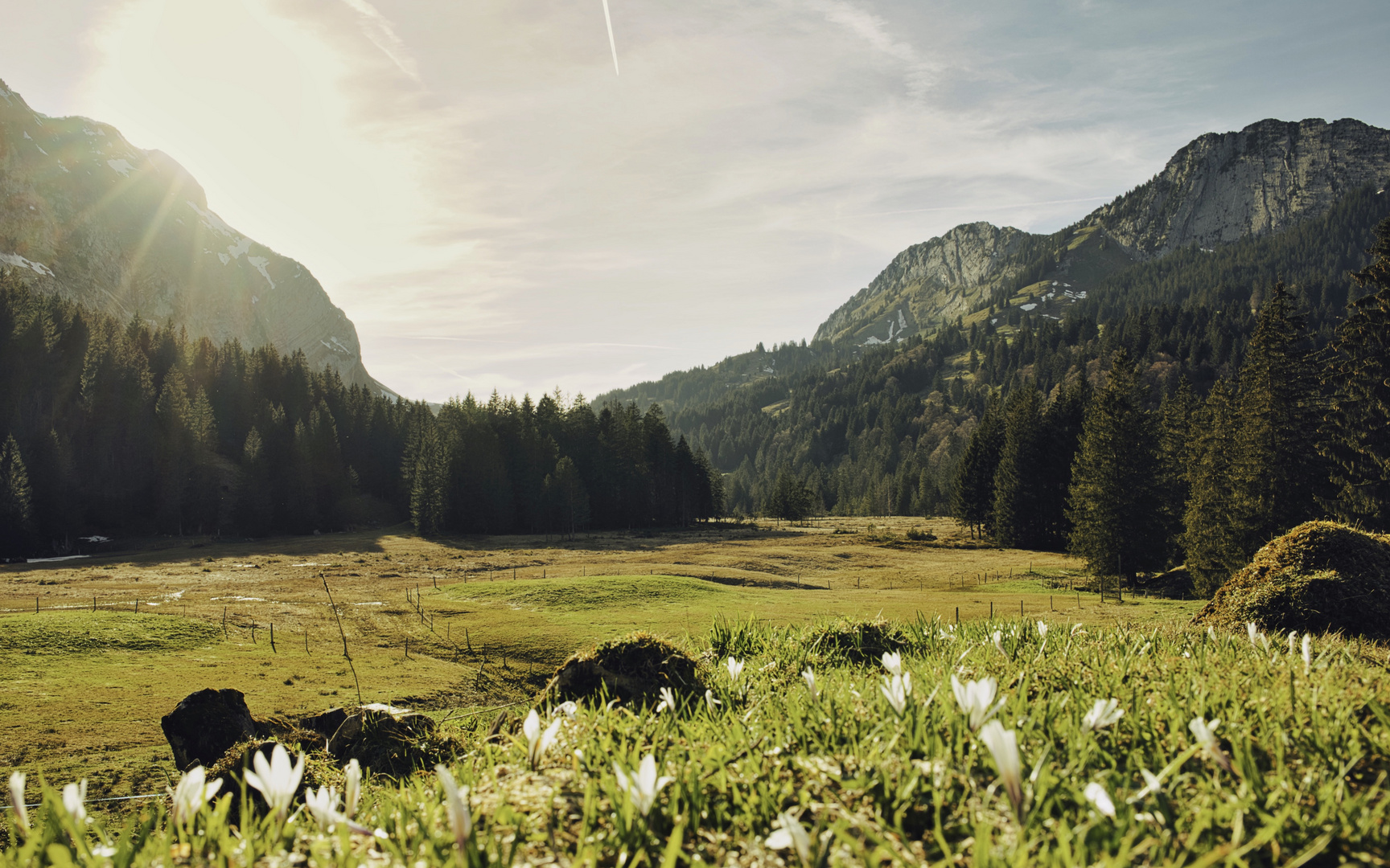 Blick übers Hochmoor