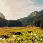 Blick übers Hochmoor