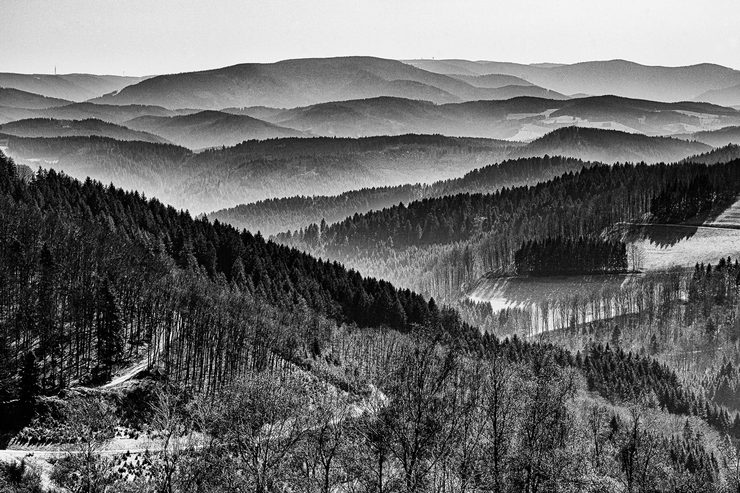 Blick übers Kinzigtal und den mittleren Schwarzwald