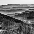 Blick übers Kinzigtal und den mittleren Schwarzwald