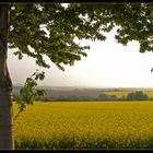 Blick übers Land