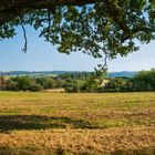 Blick über´s Land