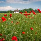 Blick übers Land - Ronnenberg bei Hannover