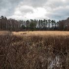 Blick übers Moor