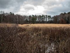 Blick übers Moor