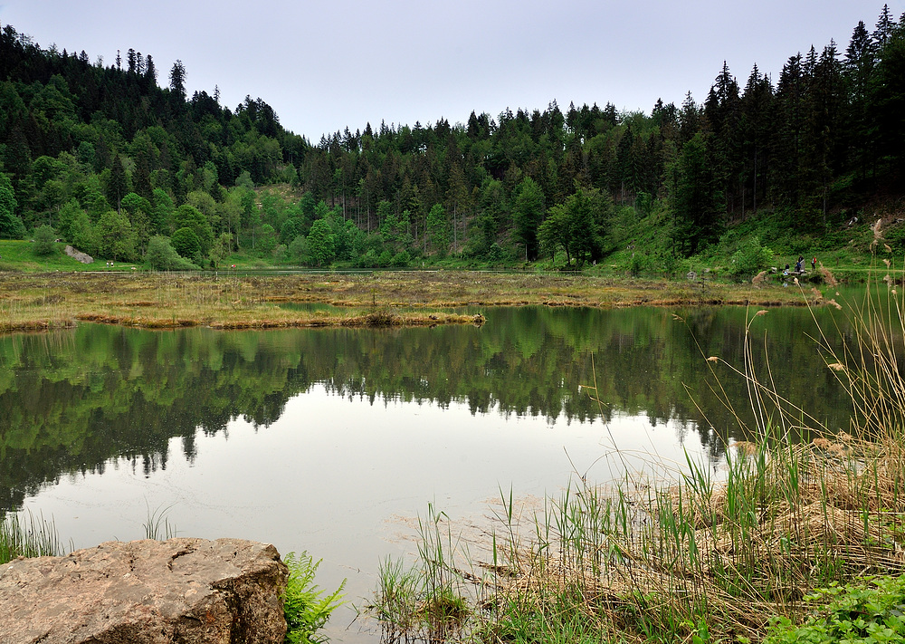 Blick übers Moorfeld Nonnenmattweier N.8