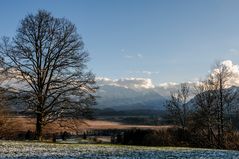 Blick übers Murnauer Moos