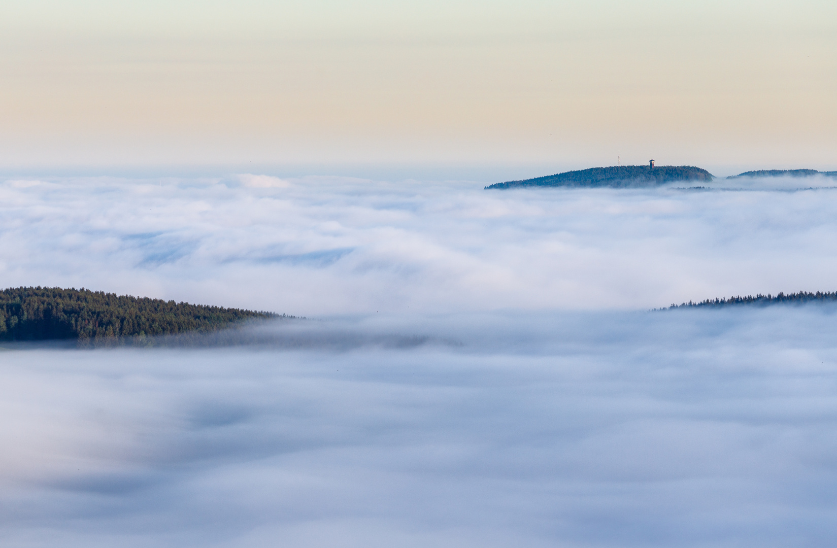 Blick über´s Nebelmeer zum Spiegelwald