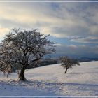 Blick übers nördliche Mühlviertel