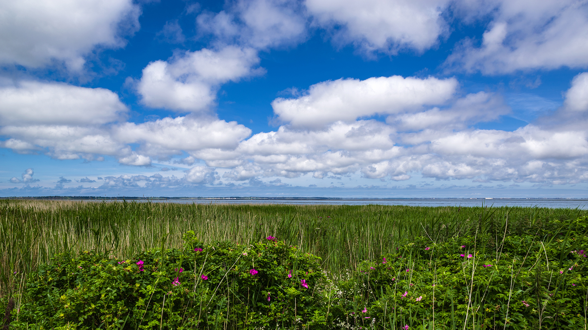 Blick übers nördliche Wattenmeer